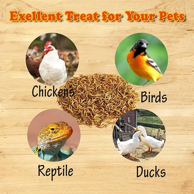 Amzey Dried Mealworms - 2 Pack 3.5OZ (7OZ Total) - High Protein Non GMO Mealworms - Great for Bearded Dragon, Birds, Fish, Lizard, Ducks, Chickens, Hamsters, Hedgehogs,Turtle Food, Reptile Food
