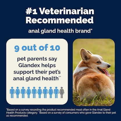 Vetnique Labs Glandex Anal Gland Soft Chew Treats with Pumpkin for Dogs Digestive Enzymes, Probiotics Fiber Supplement for Dogs Boot The Scoot (Bacon/Pork Chews, 120 Count)