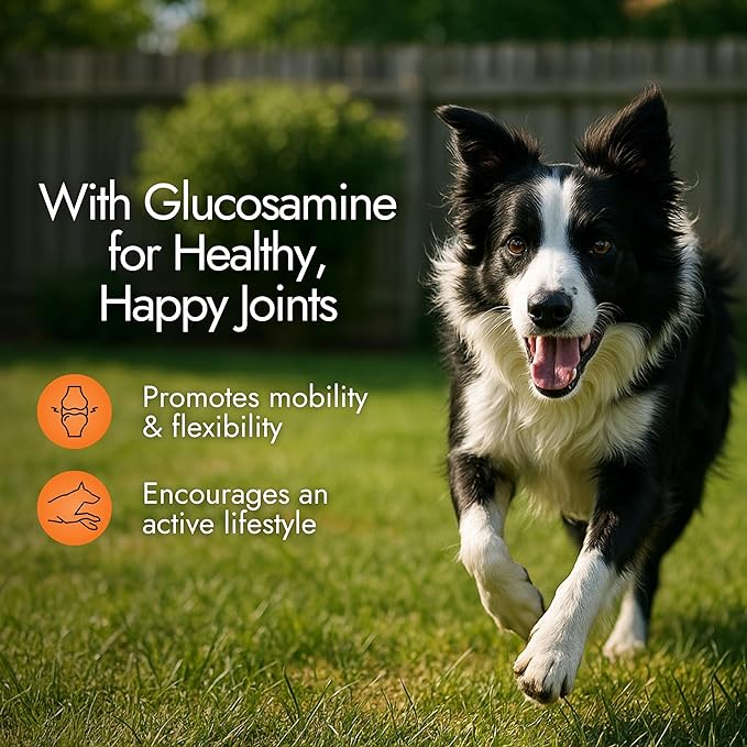 Dog Hip and Joint Supplement - Glucosamine for Dogs (Beef Liver, 60 Chews) - Dog Joint Supplement with MSM, Chondroitin, Vet Approved Dog Vitamins -Mobility Joint Pain Supplements