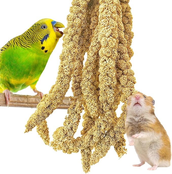 kathson Natural Sun-Dried Birds Millet Spray Millet Treat Bird Snacks for Parrots Cockatiels Lovebirds Painted Buntings and Finches Parakeets 4.4 LB