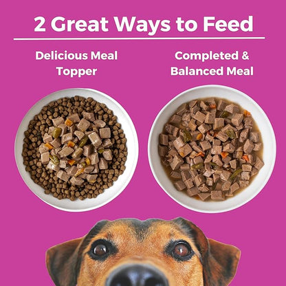 KOHA Santa Fe Skillet Stew for Dogs with Beef and Pork, High Protein Wet Dog Food, 12.7oz Cans (Case of 12)