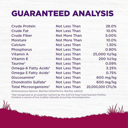 Wellness Complete Health Small Breed Dry Dog Food With Grains, Made In USA with Real Turkey and Natural Ingredients, For Dogs Up To 25 lbs, Healthy Weight, 12 Pound Bag