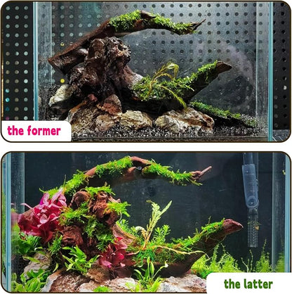 Hamiledyi Aquarium Driftwood, Natural Large 7-15in Coral Driftwood for Aquarium Decor Reptile Tank Decor Terrarium Ornament Wood Branch Trunk Stump for Fish Betta Lizard