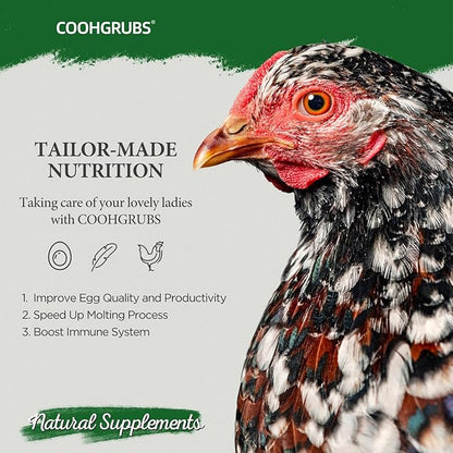 Dried Mealworms for Birds, Non-GMO High Protein Chicken Treats & Poultry Feed, 10 lb Bag