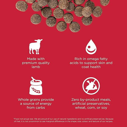 Go! Solutions Skin + Coat Care, Dry Dog Food, Lamb Recipe with Grains, 22 lb Bag