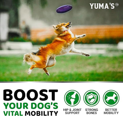 YUMA'S Glucosamine for Dogs - Hip and Joint Supplement for Dogs - 170 Ct - Glucosamine Chondroitin Chews - Joint Pain Relief Supplement with MSM - Advanced Health - Mobility Support - Made in USA