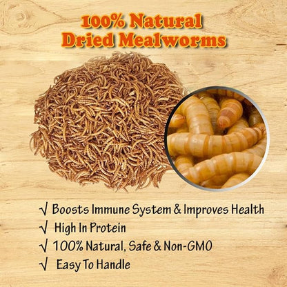 Amzey Dried Mealworms - 2 Pack 3.5OZ (7OZ Total) - High Protein Non GMO Mealworms - Great for Bearded Dragon, Birds, Fish, Lizard, Ducks, Chickens, Hamsters, Hedgehogs,Turtle Food, Reptile Food
