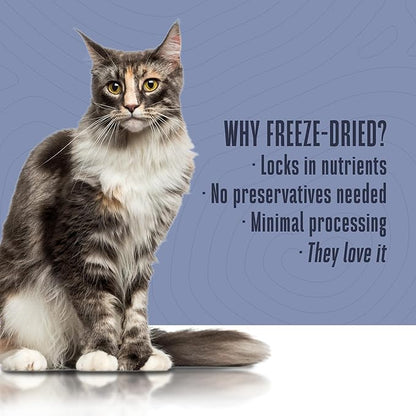 Whole Life Pet Healthy Gut Daily Cat Supplements, Cat Probiotics for Constipation Relief, Anti Diarrhea, Vomit Remedy & Digestive Support, Pumpkin Puree for Cats, Cat Health Supplies - 30-Day Supply