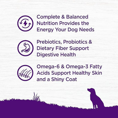 Wellness Complete Health Dry Dog Food with Grains, Made in USA with Real Meat & Natural Ingredients, All Breeds, Adult Dogs (Chicken & Oatmeal, 30-lb) – With Nutrients for Immune, Skin, & Coat Support