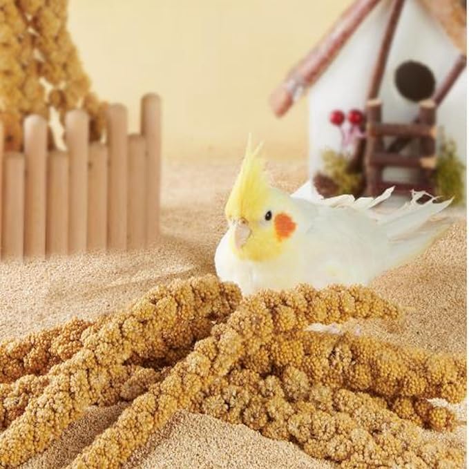 1.1LB Vacuum Sealed Spray Millet Treat for Birds Parakeets, Natural Sun-Dried Birds Millet for Cockatiel, Budgie, Finches, Parrots, Hamster(500 Gram)