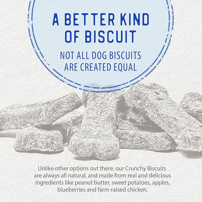 Caledon Farms The Dodo Crunchy Biscuits - Chicken with Apple & Blueberry 19.5oz, Dog Treats, Biscuits