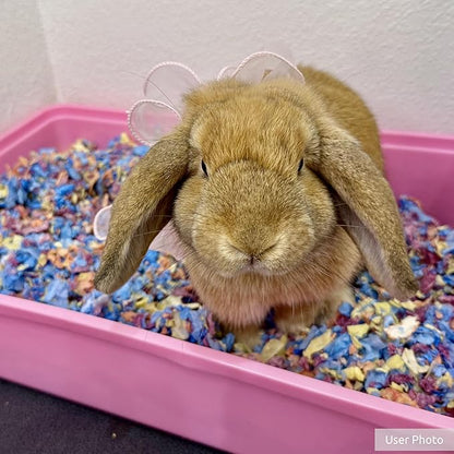 Kaytee Clean & Cozy Colors, Small Animal Bedding with Extreme Odor Control, Kaleidoscope, 49.2 Liters