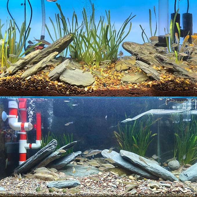 Aquarium Stone Stream Turtle Platform Natural Slate 3-8 inches basking Rock for Aquarium Decoration Turtle Tanks and Amphibian & Reptile Terrariums (10lb)