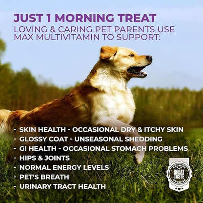 Mighty Petz MAX Dog Multivitamin - Senior & Adult Dog Vitamins 10 in 1 Complete Support for Joints, Immunity, Mobility, Gut, Energy, Skin Health, Pet Multivitamin Daily Chewable Supplement