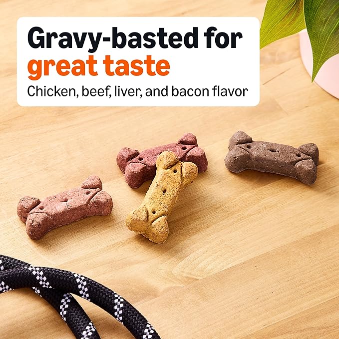 Amazon Basics Gravy Basted Flavor Biscuits Dog Treats 5 lb. Box