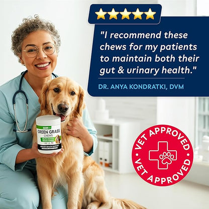 STRELLALAB Green Grass Dog Chews - Dog Pee Grass Helper - Supplement Urine Neutralizer for Grass Burn Spots - Grass Treatment for Pet Urine - Pee Lawn Repair Treats with Probiotics - Made in USA