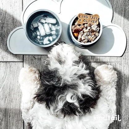 KindTail Portable Pet Feeder, Travel Dog Bowls with Lid and Handle, Microwave and Dishwasher-Safe, 10oz Inner Bowl & 20oz Outer Bowl, Grey