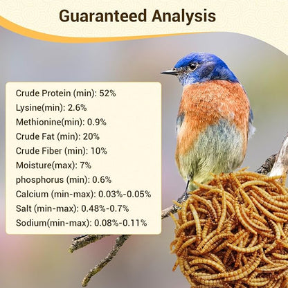 Dried Mealworms 5Lbs, High-Protein Bulk Mealworms, 100% Non-GMO Mealworm Treats for Birds, Chickens, Turtles, Fish, Hamsters and Hedgehogs All Natural Animal Feed