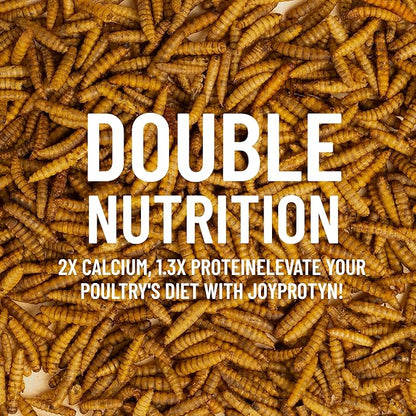 5LB Non-GMO Dried Black Soldier Fly Larvae for Chicken – 85X More Calcium Grubs Than Mealworms for Strong Eggshells & Healthy Growth - High Protein for Chickens, Birds, Ducks, Geese & Pets