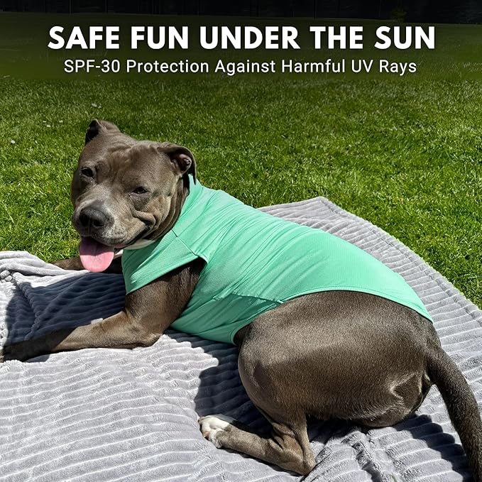 Spark Paws Sunblock Dog T-Shirt, SPF30 Protection, Lightweight Breathable Quick Dry for Dogs with Sensitive Skin - Peach & Mint (Set of 2) - 2XL