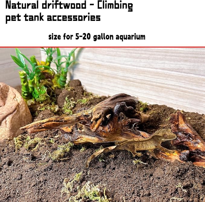 Hamiledyi 5PCS Aquarium Driftwood,3.5-7in Natural Coral Wood,Fish Tank Driftwood Assorted Branches Reptile Tank Decor Aquarium Decoration