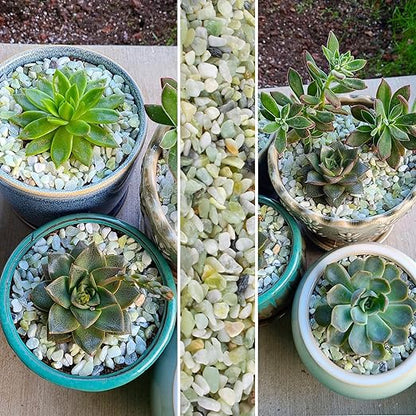 CJGQ 2.4lb Natural Gravel for Aquarium Succulents Bonsai Terrarium Fish Tank,1/5" Decorative Stone for Plants Indoor