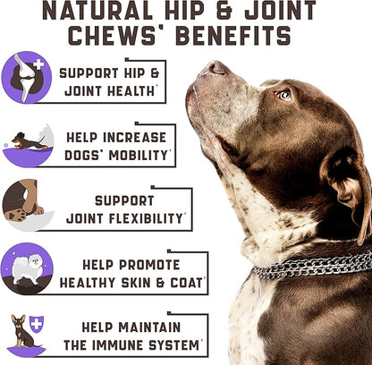 Hemp Joint Supplement for Dogs - Dog Joint Supplement with Glucosamine, Chondroitin, MSM - Supports Hip and Joint Heath, Better Mobility, Skin and Coat - for All Breeds and Ages - 180 Dog Chews, Duck