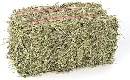 Grandpa's Best Timothy Hay Bale, 40 oz