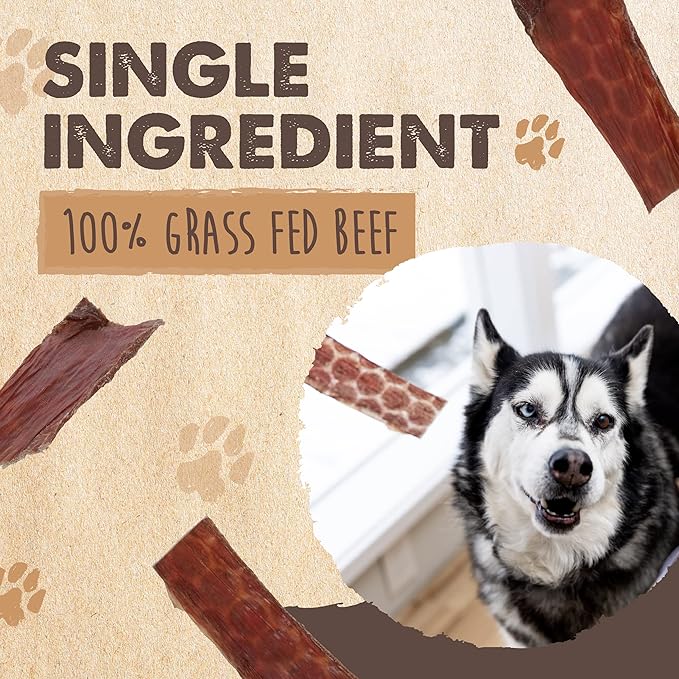 Mighty Paw Naturals Beef Gullet Jerky for Dogs | 100% Natural Beef Gullet Sticks for Small, Medium and Large Breeds. Natural Treat for Large Pets, and Puppies. Dried Dog Treats 14 oz