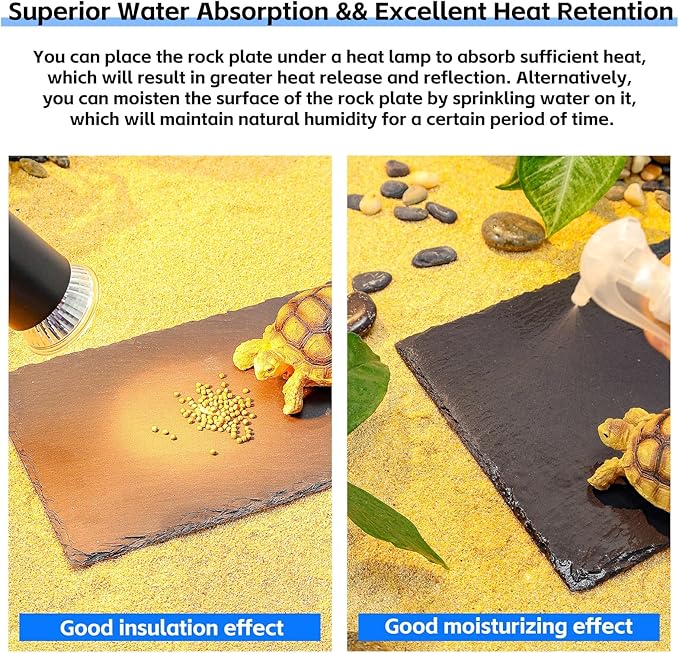 Natural Slate Basking Platform for Reptiles Bearded Dragon Tortoise Turtle Habitat Accessory Heat Retention, Anti-Slip Design, Feeding Tray Functionality, and Superior Water Absorption (12'' x 6'')