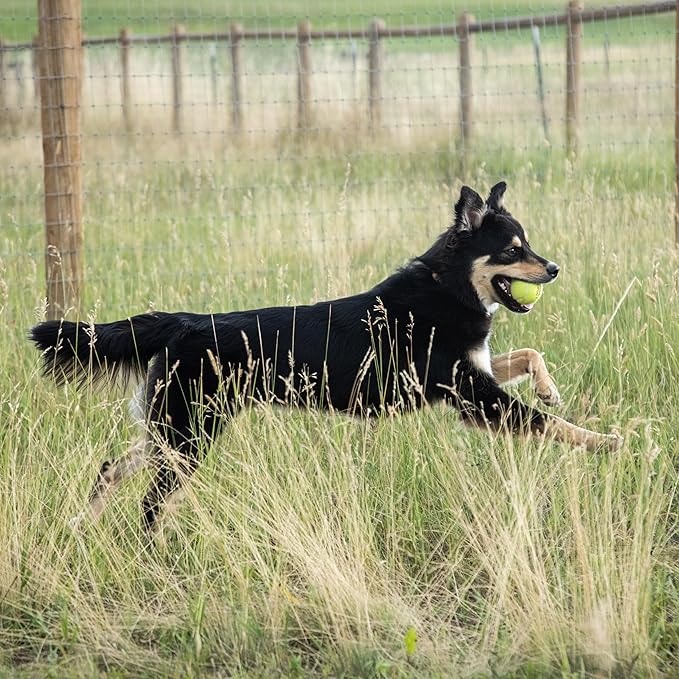 Hip and Joint Supplement for Large Dogs 70 Pounds and Up with Glucosamine Chondroitin, and Hyaluronic Acid – Formulated for Large Breeds – Clinically Proven Hip and Joint Support