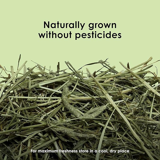 Kaytee Timothy Hay, High Fiber, Grown Specifically for Small Animals, Rabbits, Guinea Pigs, Chinchillas, 2 Pounds