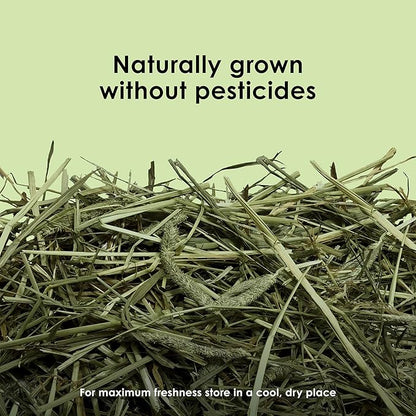 Kaytee Timothy Hay, High Fiber, Grown Specifically for Small Animals, Rabbits, Guinea Pigs, Chinchillas, 2 Pounds