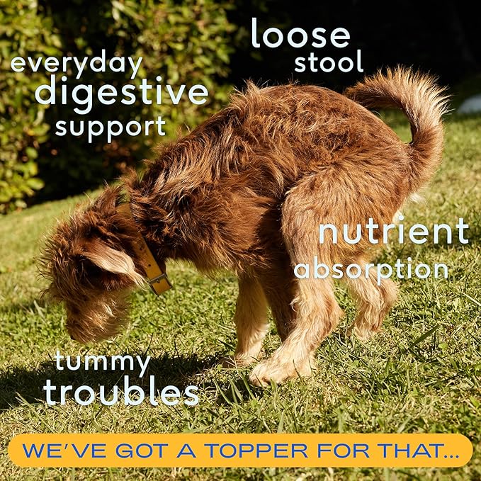 Native Pet Pumpkin for Dogs - Organic Powder Pumpkin Puree Dog Food Toppers -Rich in Fiber Supplement Powder Helps with Digestion, Nutrient Absorption, Diarrhea, Constipation & Upset Stomach-60 Scoops