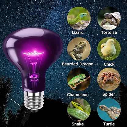 100W Reptile Night Light Bulb - UVA Heat Lamp - Simulates Natural Moonlight, Purple Basking Lamp for Bearded Dragons, Lizards, Chameleons and Amphibians - Ideal for Reptile Aquariums & Tanks