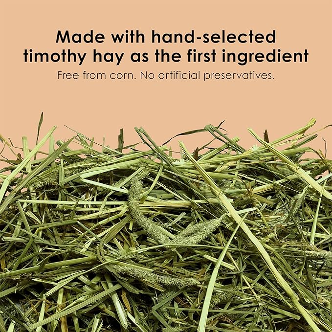 Kaytee Timothy Complete Guinea Pig Food, Made with Timothy Hay, High in Fiber, Supports Dental Health and Digestion, Long-lasting Vitamin C, 9.5 pounds