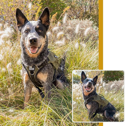 OneTigris Y-Shaped Dog Backpack with Handle, Pockets & No Pull D-Rings, Lightweight Hiking Gear for Dogs Hunting Camping Travel (Large, Green)