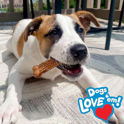 Nylabone Nubz Natural Dog Chew Treats for Large Dogs, Long Lasting Dog Bones Made in USA, Peanut Butter Flavor Breath Freshener Dental Chews, for Dogs Up to 50 lbs. (18 Count)