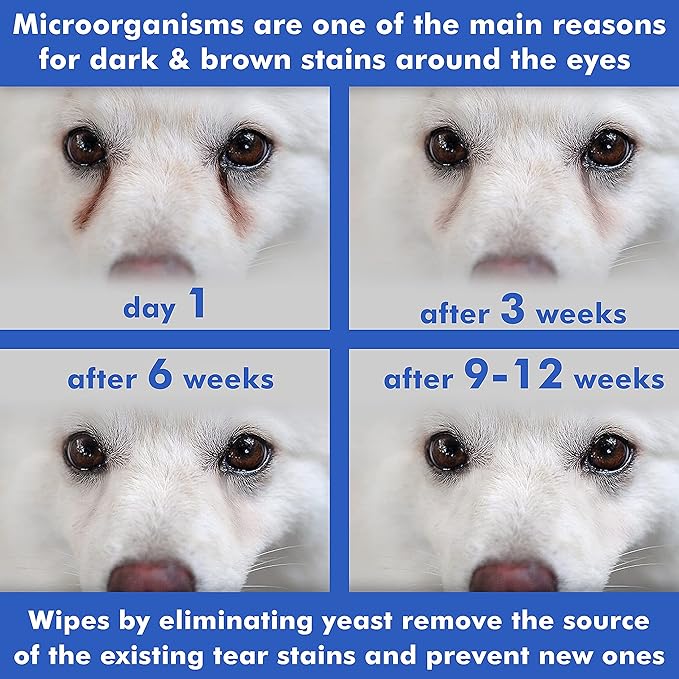 Arava Pet Eye Wipes - for Dogs Cats Puppies & Kittens - 100 Count