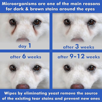 Arava Pet Eye Wipes - for Dogs Cats Puppies & Kittens - 100 Count