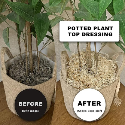 Aspen Excelsior, 2 lbs, Made in USA, for Pet Bedding, Chicken Nest Boxes, Gift Baskets