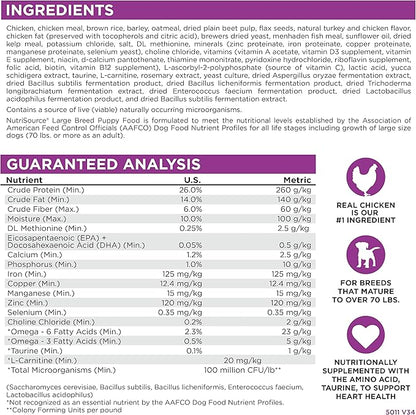 Large Breed Puppy Chicken & Rice Dry Dog Food Size: 1.5-Lb Bag