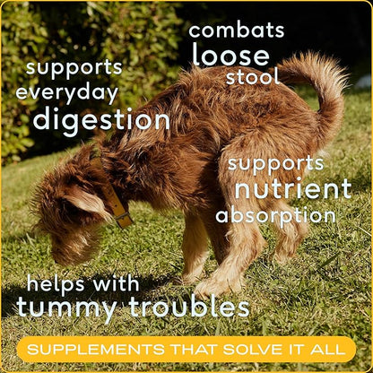 Native Pet Pumpkin for Dogs - Organic Powder Pumpkin Puree Dog Food Toppers-Rich in Fiber Supplement Powder Helps with Digestion, Nutrient Absorption, Diarrhea, Constipation & Upset Stomach-120 Scoops