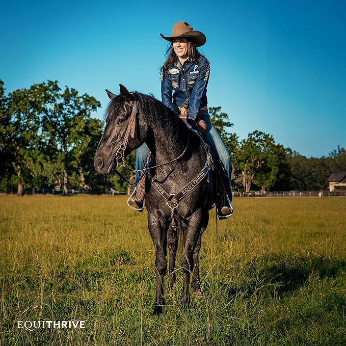 Equithrive Classic Joint Supplement Pellets with Glucosamine, Chondroitin, Hyaluronic Acid and MSM for Horses and Senior Horses, 10 lbs