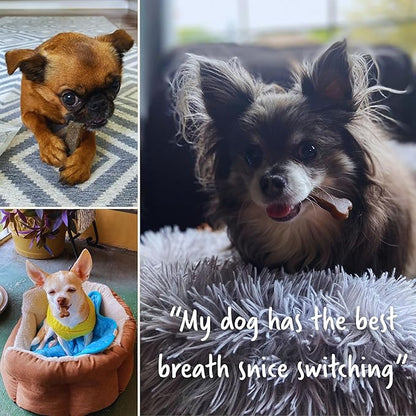 Presidio Earthbones (Formerly Terrabones) Dental Chews, Dog Teeth Cleaning Treat, Large, 6 Treats