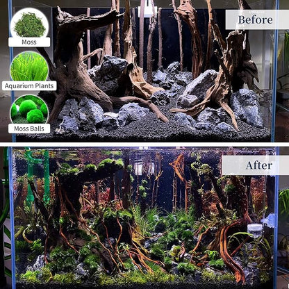 majoywoo Natural Coral Driftwood for Aquarium Decor Fish Tank Decorations, Assorted Driftwood Branch 6-10" 3 Pcs, Reptile Decor…