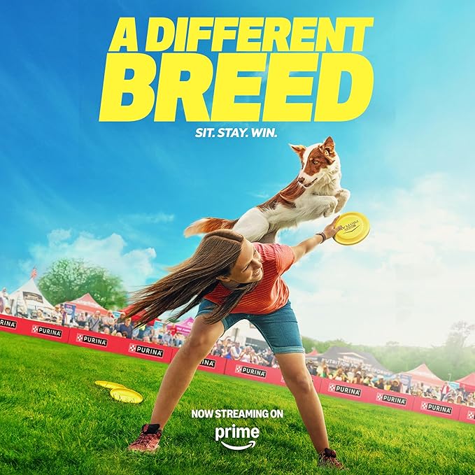 Purina Pro Plan Sensitive Skin and Sensitive Stomach Dog Food Lamb and Oat Meal Formula - 24 lb. Bag