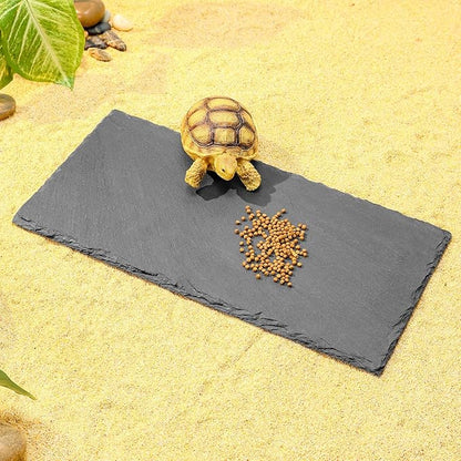 Natural Slate Basking Platform for Reptiles Bearded Dragon Tortoise Turtle Habitat Accessory Heat Retention, Anti-Slip Design, Feeding Tray Functionality, and Superior Water Absorption (12'' x 6'')
