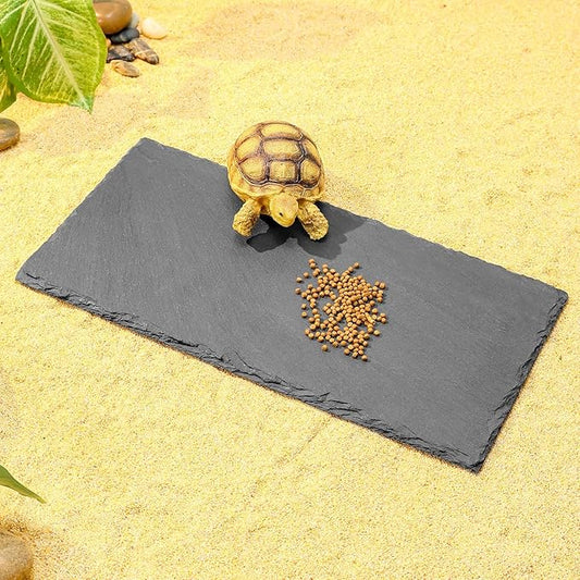 Natural Slate Basking Platform for Reptiles Bearded Dragon Tortoise Turtle Habitat Accessory Heat Retention, Anti-Slip Design, Feeding Tray Functionality, and Superior Water Absorption (12'' x 6'')