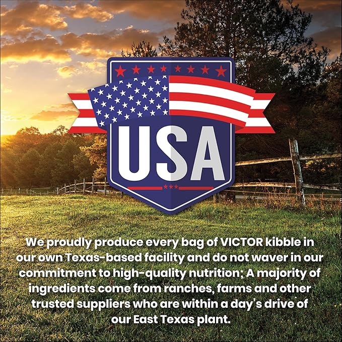 VICTOR Super Premium Dog Food — Sensitive Skin and Stomach — Salmon Meal & Brown Rice Recipe Dry Kibble — Gluten Free, No Chicken, Ideal for Dogs with Allergies — Adult and Puppy Food, 5 lb